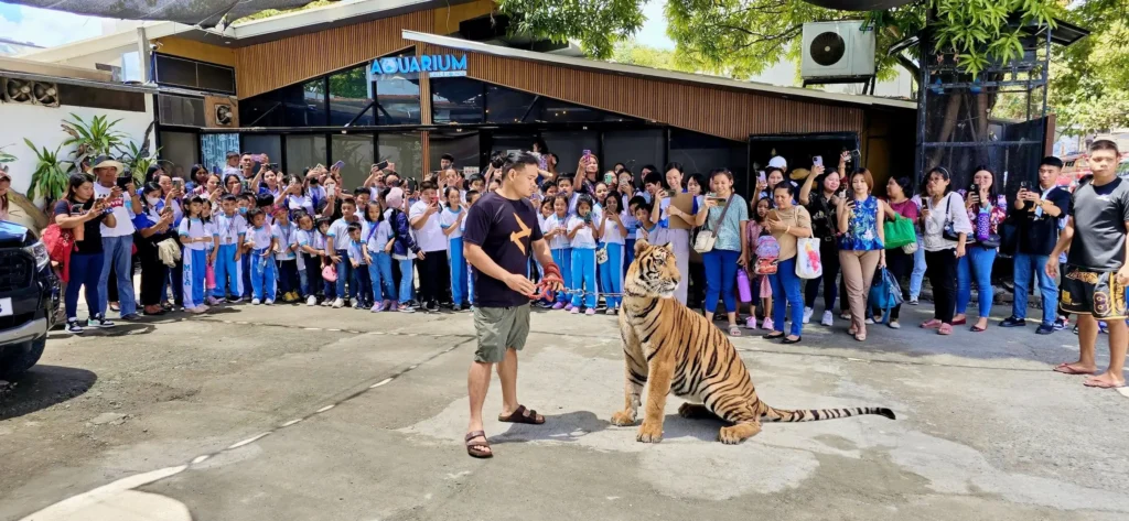 Tigger at Aquarium Cafe & Lounge